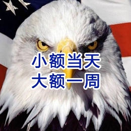 道真要账公司